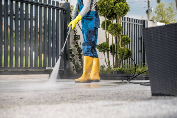 Best Dumpster Area Cleaning  in Elmer, NJ