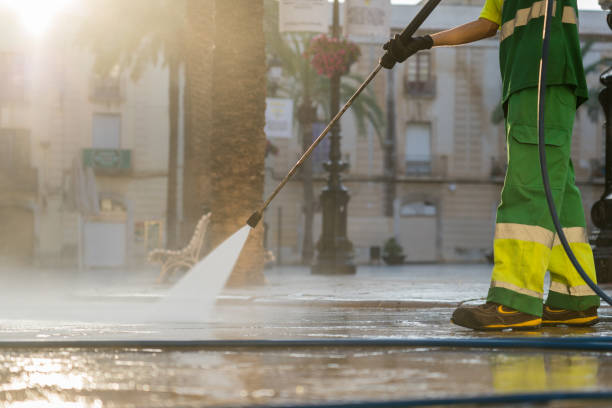 Best Solar Panel Cleaning  in Elmer, NJ
